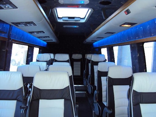 luxury 12 passenger van